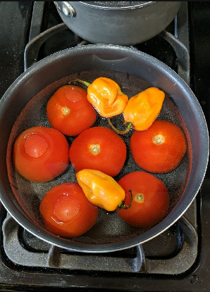Pot filled with water, habanero peppers, and tomatoes